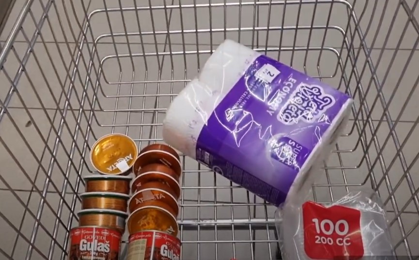 Namirnice u marketu u korpi za kupovinu